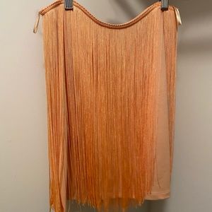 Zara fringe skirt